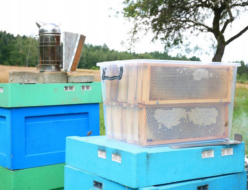 Pojemnik, transporter do ramek pszczelich Wielkopolskich